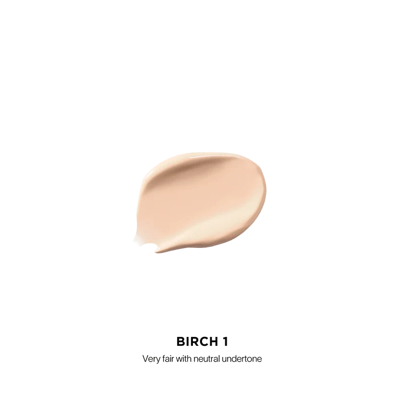 Vanish Airbrush Concealer