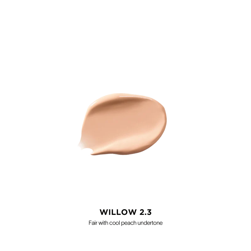 Vanish Airbrush Concealer