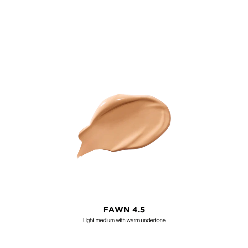 Vanish Airbrush Concealer