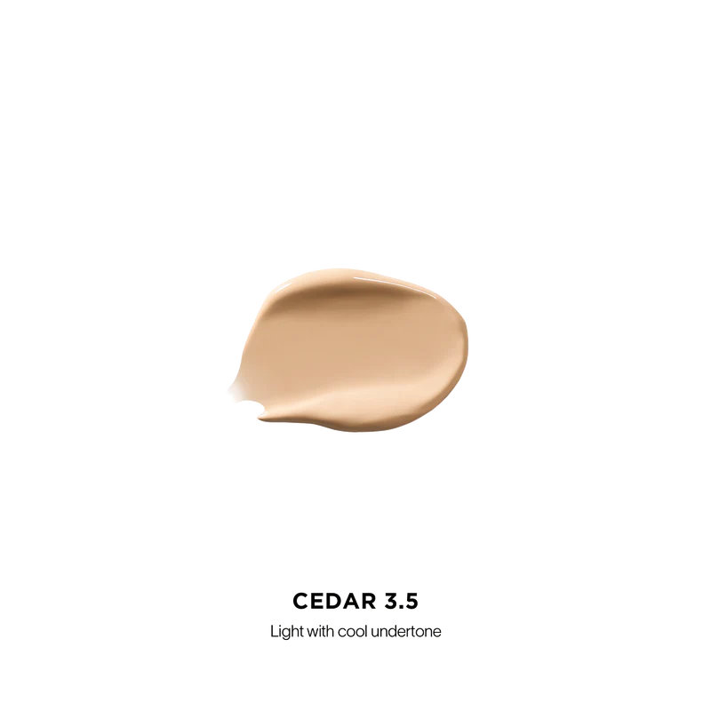 Vanish Airbrush Concealer