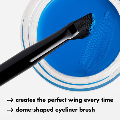 Ten Out of Ten Brush Kit