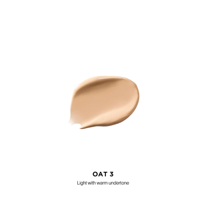 Vanish Airbrush Concealer