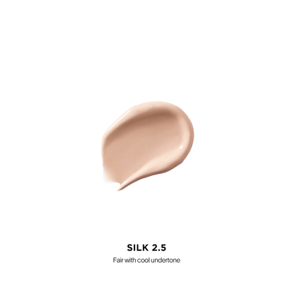 Vanish Airbrush Concealer