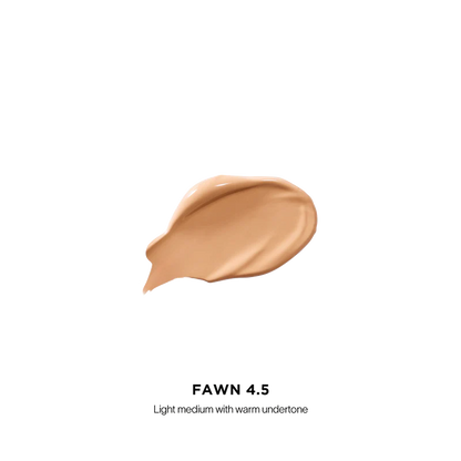 Vanish Airbrush Concealer