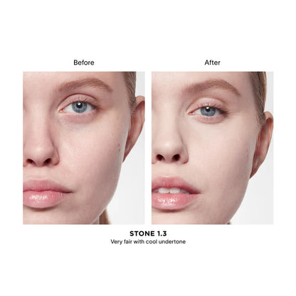 Vanish Airbrush Concealer