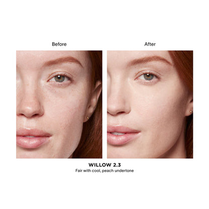 Vanish Airbrush Concealer