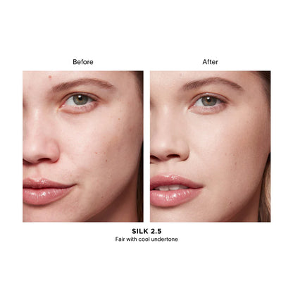 Vanish Airbrush Concealer