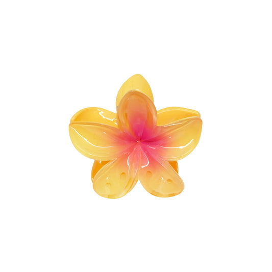 Midi Super Bloom Clip