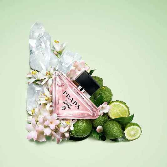 Mini Paradoxe Discovery Set