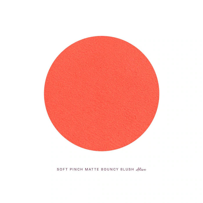 Soft Pinch Matte Bouncy Blush