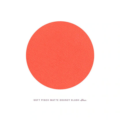 Soft Pinch Matte Bouncy Blush